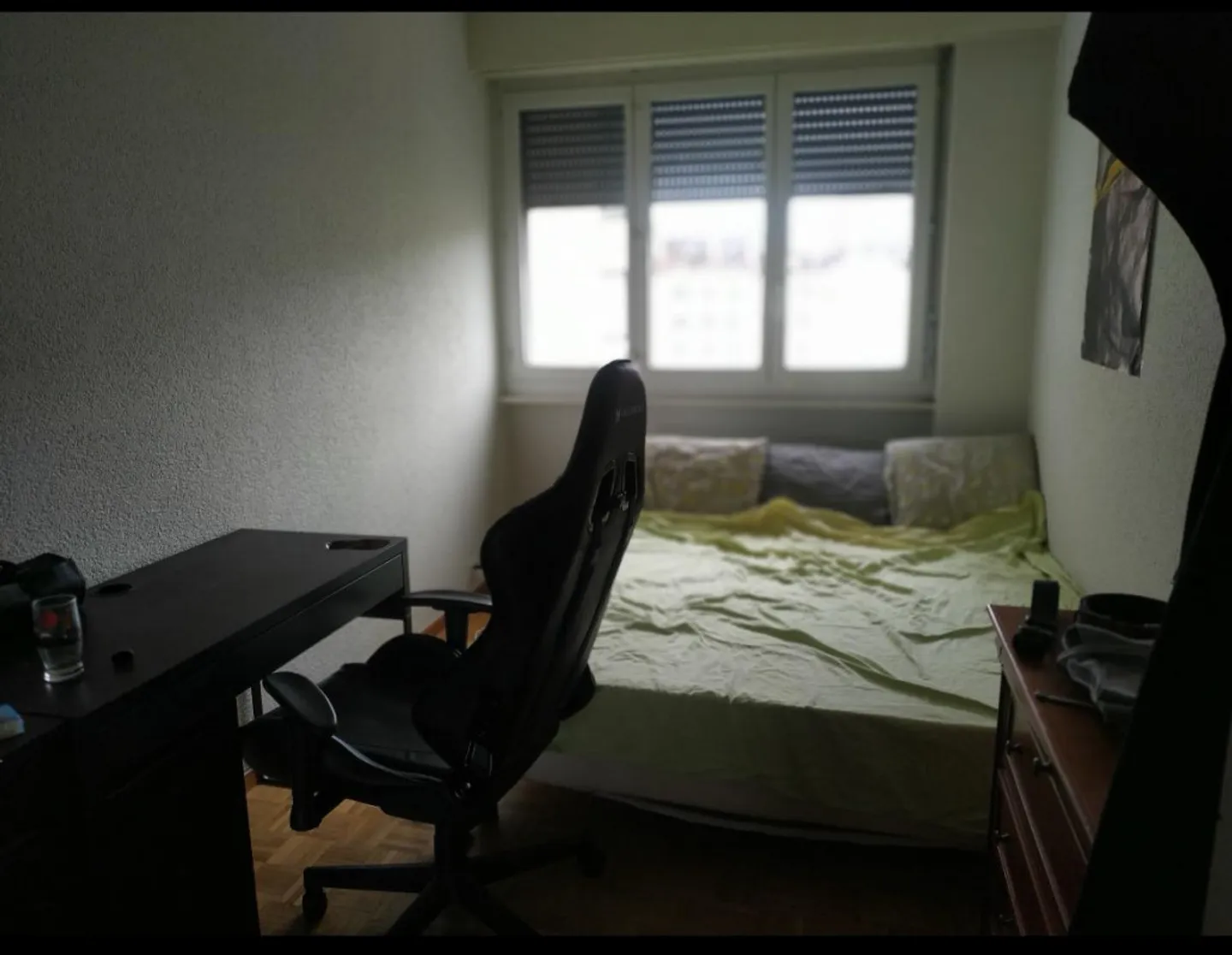 Bright 5-Room Apartment in Geneva - Photo 5 of 5