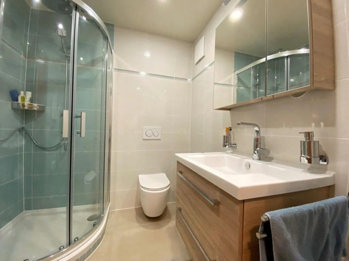 Magnificent Apartment/House of 330m2 - Garden - 8 Minutes from Morges - Photo 10 of 10