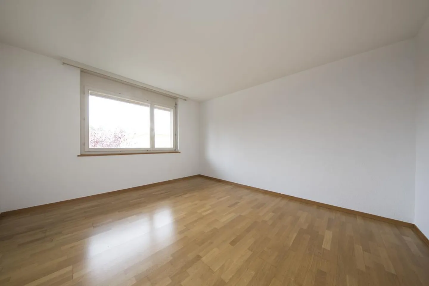 Ici, vous trouverez plus pour moins cher ! - Photo 5 sur 11