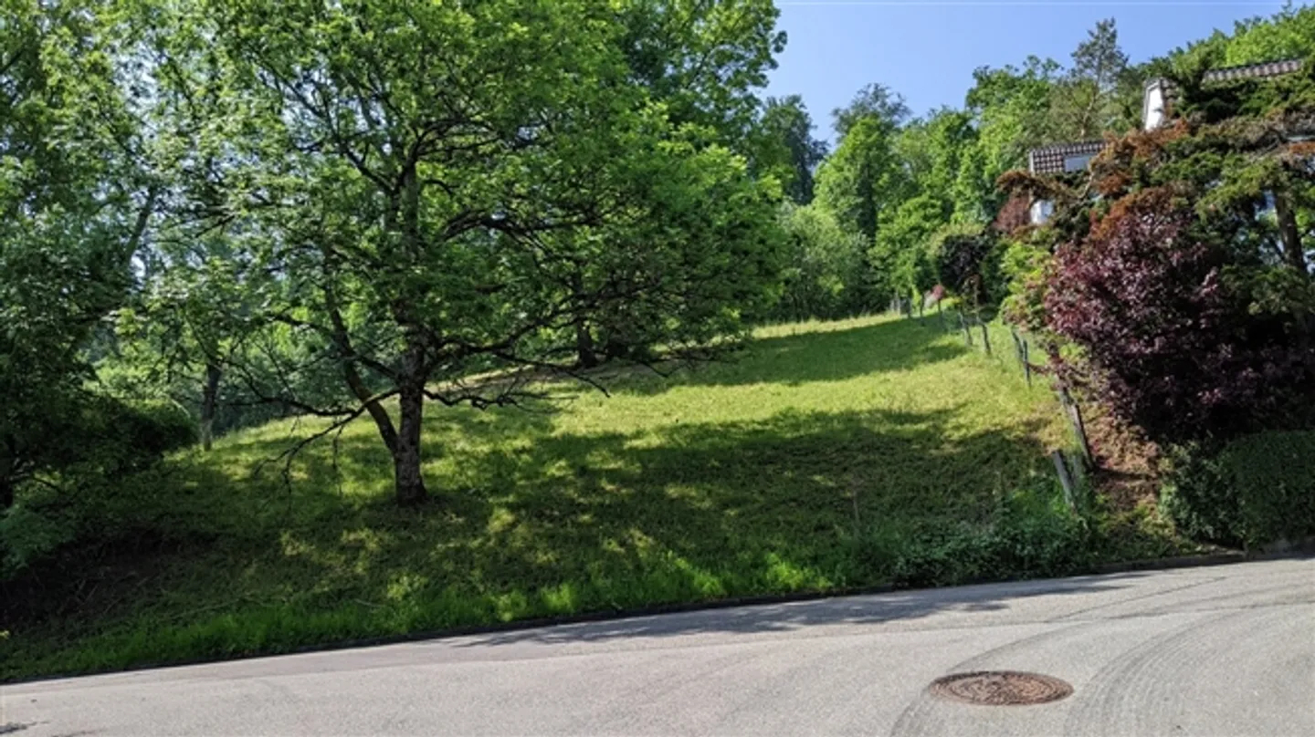 Fully Developed Building Plot in Beautiful Residential and Scenic Location - Photo 4 of 5