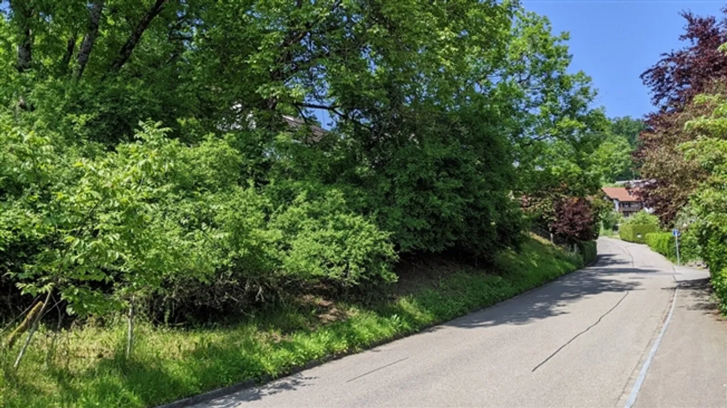 Fully Developed Building Plot in Beautiful Residential and Scenic Location - Photo 5 of 5