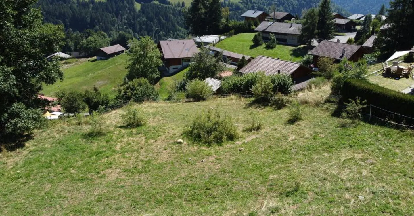 Terrain pour Chalet - Photo 3 sur 8
