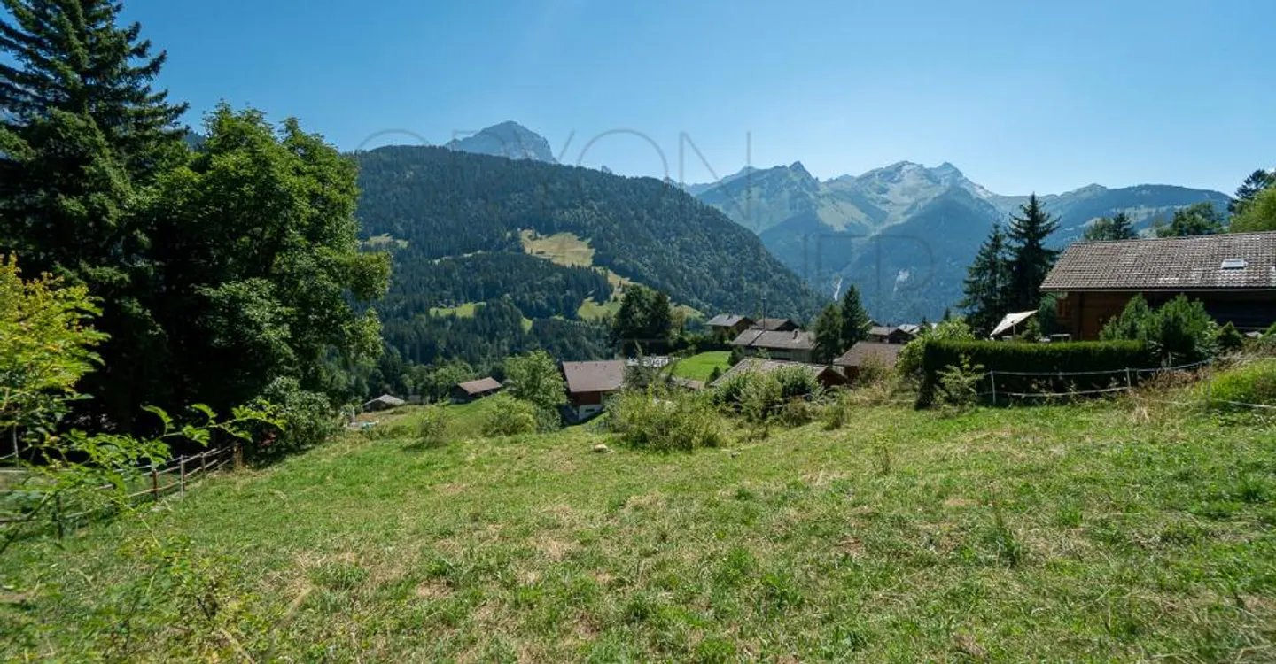 Terrain pour Chalet - Photo 6 sur 8
