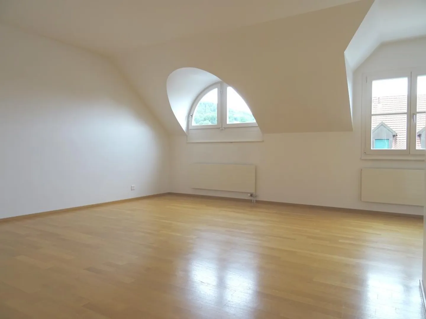 Modern apartment with spacious attic - Photo 3 of 10