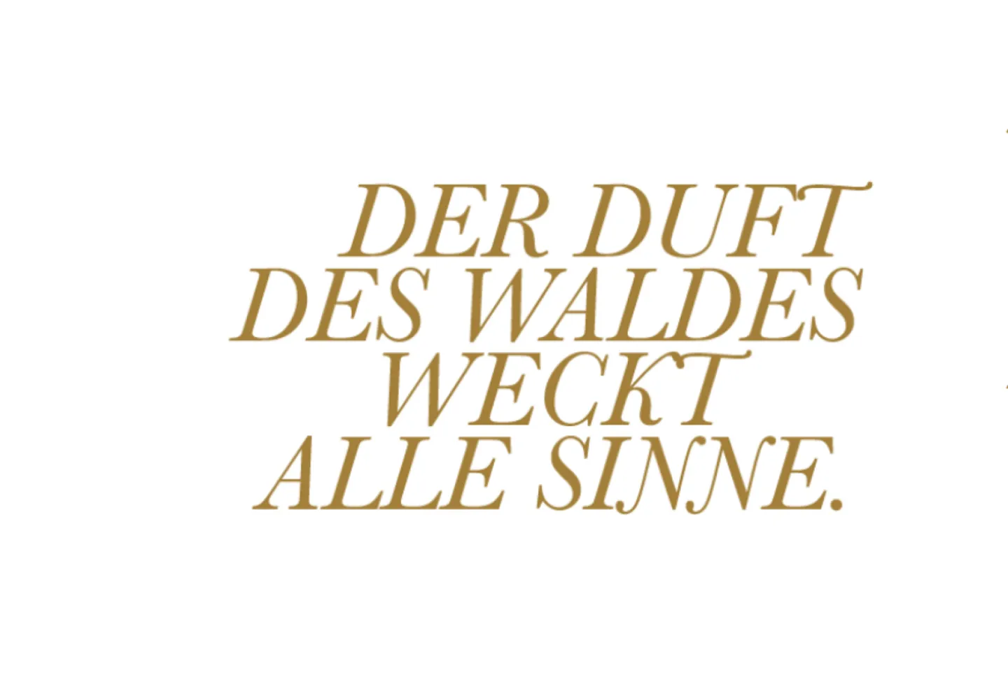 Idyllisches Wohnen in Wila - Ihr neues Zuhause inmitten der Natur - Foto 11 von 12