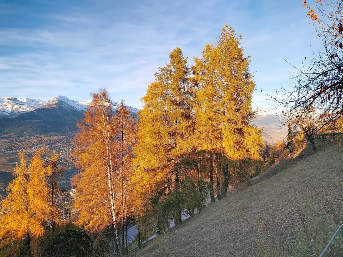 Charmant appartement de 4,5 pièces rénové - Photo 13 sur 13