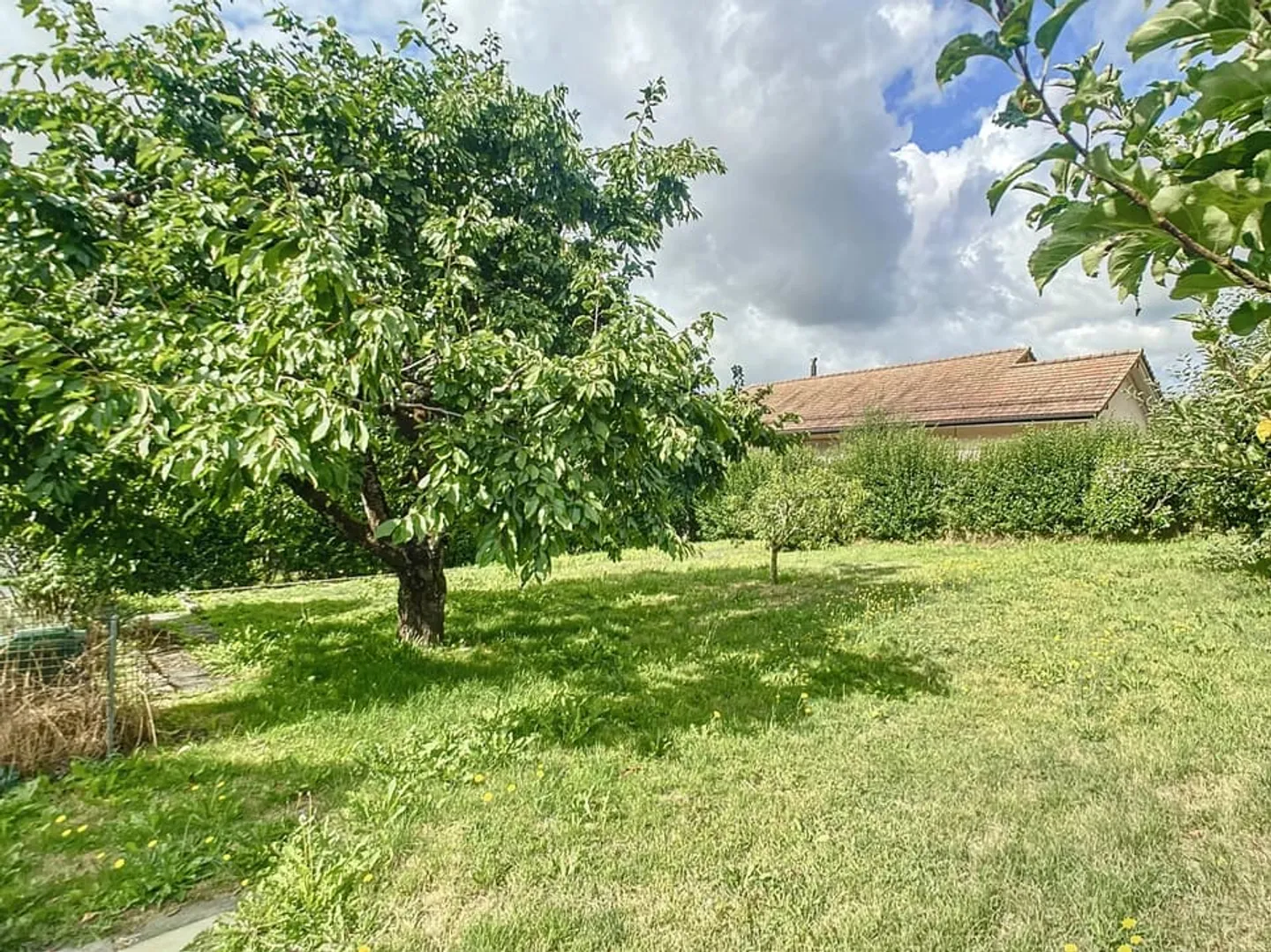 Charming house in a quiet area with garden - Photo 2 of 8