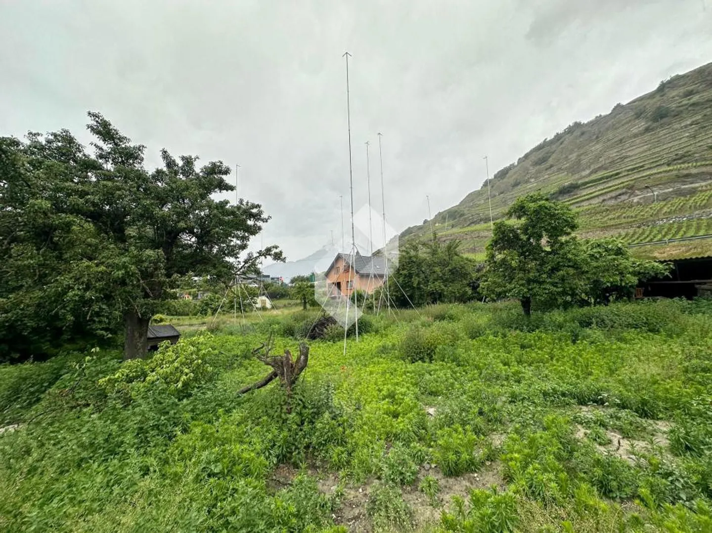 Portachon: alle porte di Sion - Foto 12 di 13