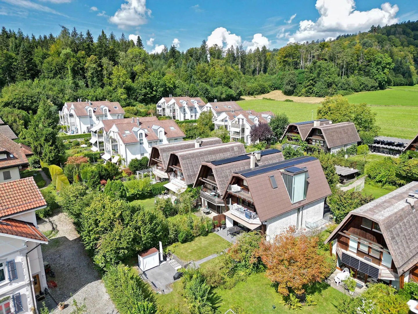 Grosses Doppeleinfamilienhaus in grüner Umgebung - Photo 1 of 18
