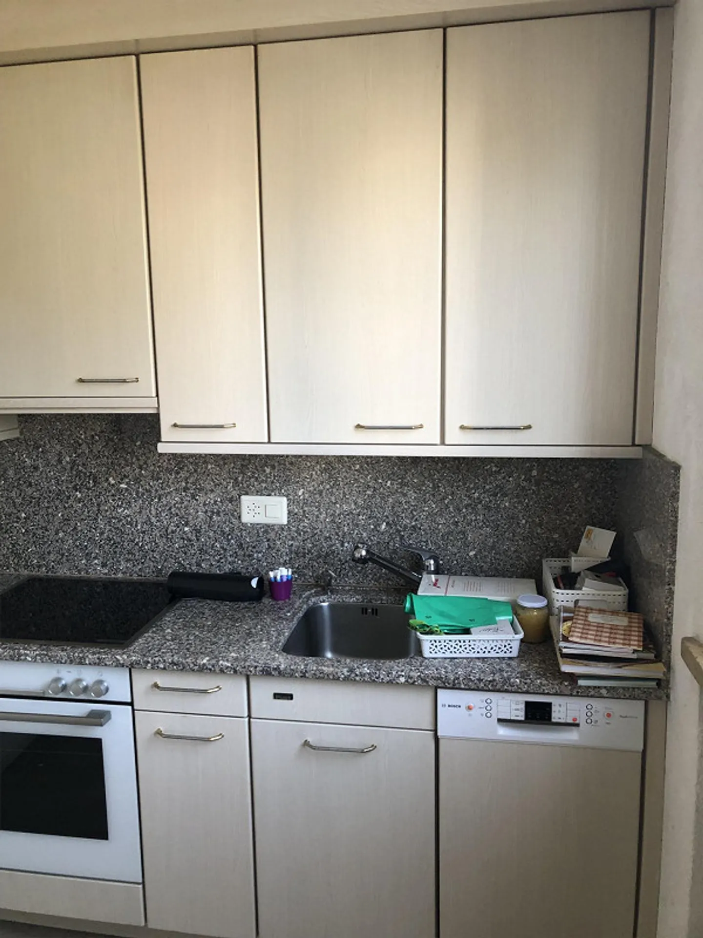 4.5 Room Apartment with Garage - Photo 1 of 7
