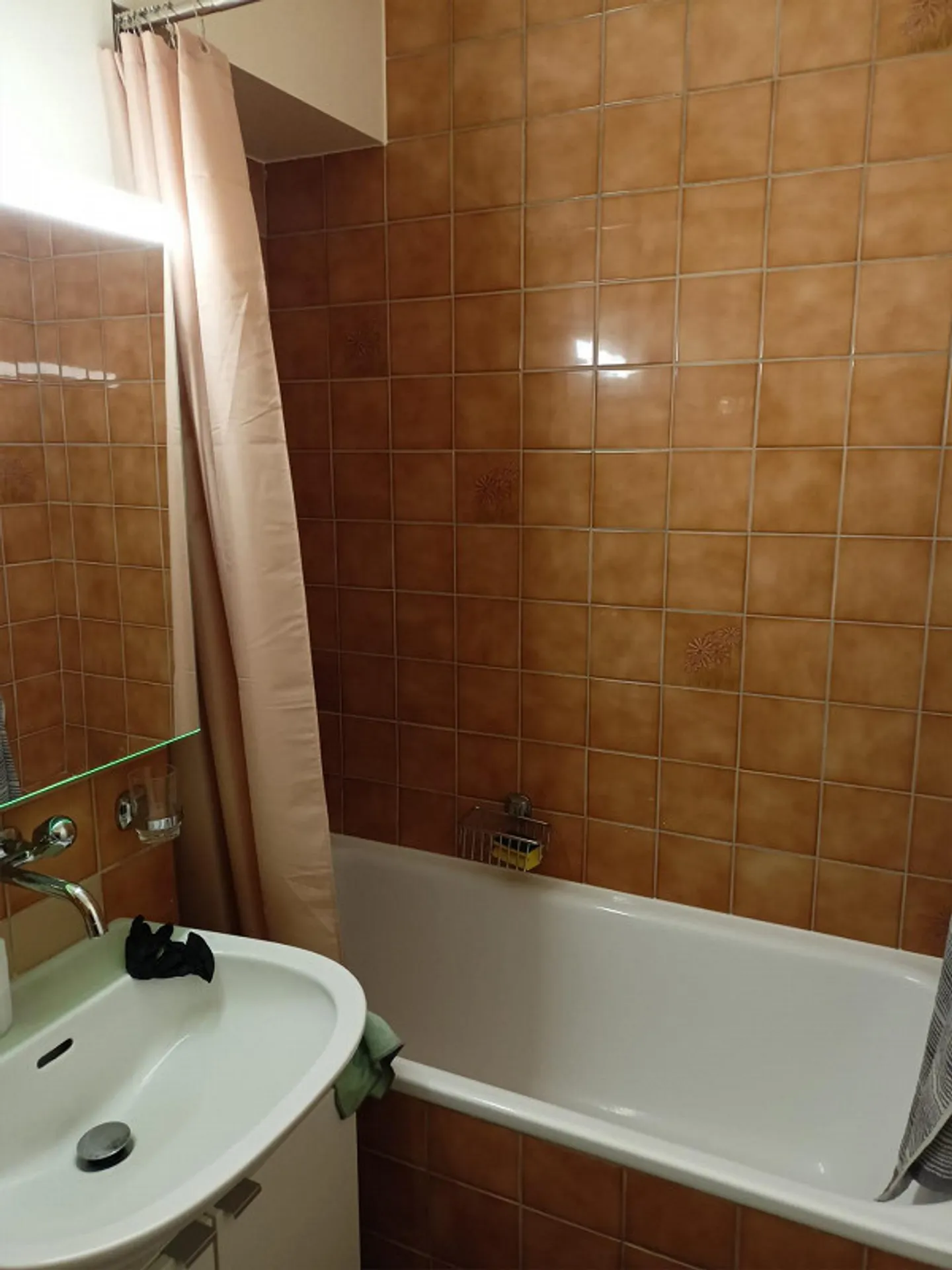 Riconsegna del contratto di affitto per un affascinante appartamento con 2 stanze a Chêne-Bourg - Foto 5 di 8