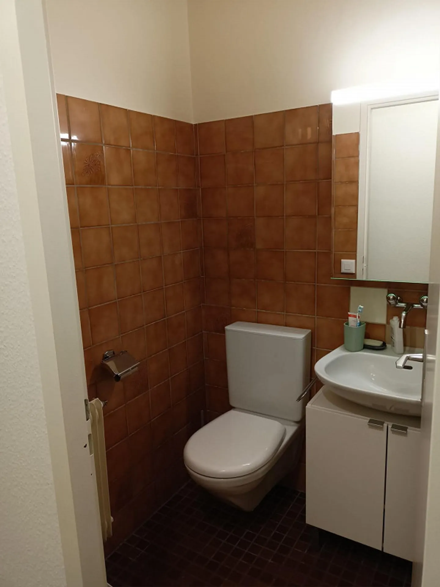 Riconsegna del contratto di affitto per un affascinante appartamento con 2 stanze a Chêne-Bourg - Foto 4 di 8