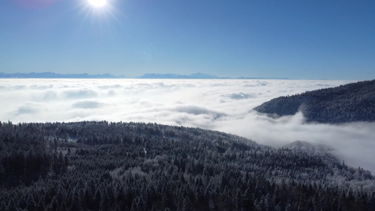 Renovierte 3-Zimmer-Duplexwohnung mit 2 Balkonen - Wunderschöner Ausblick - Foto 6 von 21