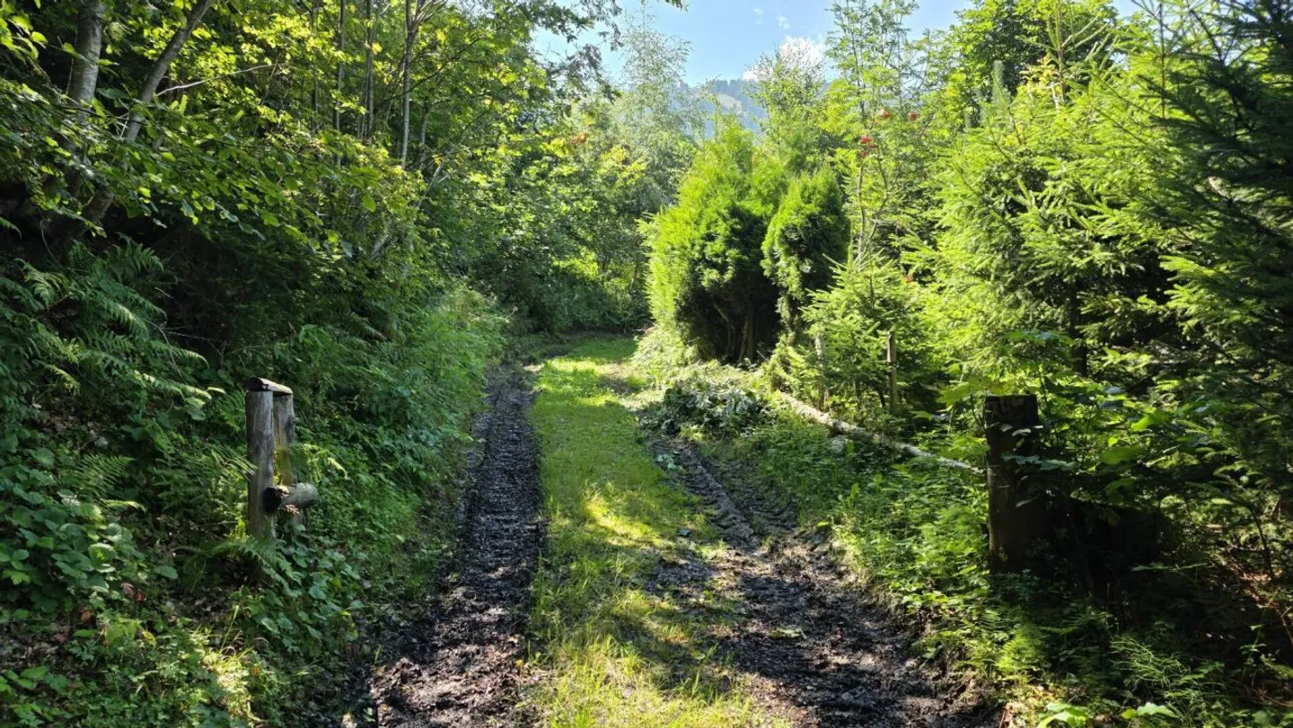 Terrain pour votre chalet de rêve - Photo 6 sur 9