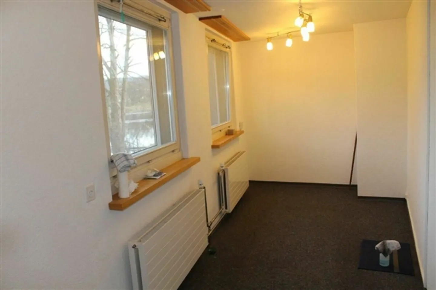 14 m2 di spazio come ufficio, studio o atelier - direttamente sulla Töss! - Foto 4 di 6