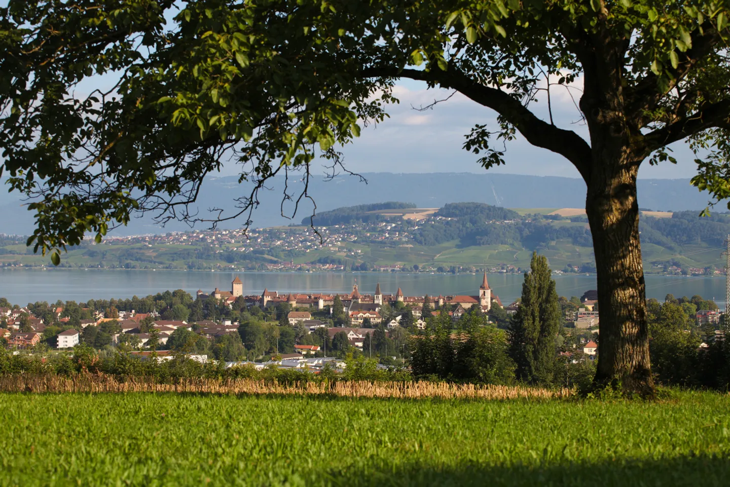 Champ Olivier Living 16 Appartamenti 2 Spazi Commerciali - Foto 10 di 11