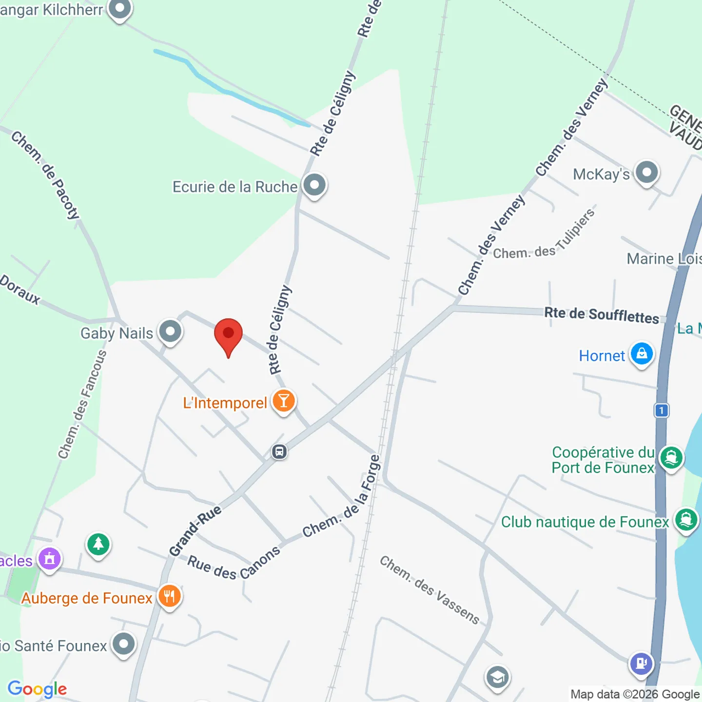 Villen nach Plänen mit 4 Schlafzimmern – Founex Village - ruhige Lage - Foto 13 von 13