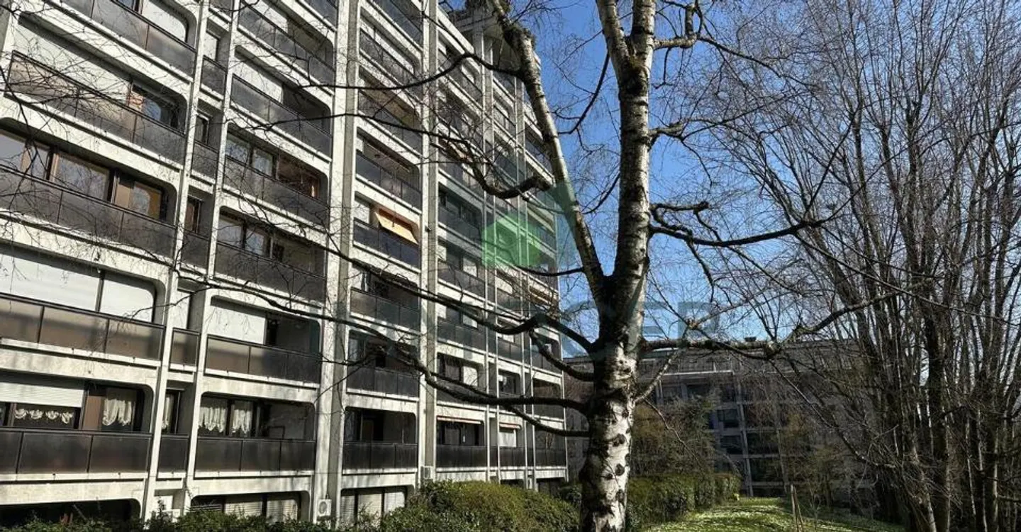 Appartement spacieux à Petit-Saconnex - Photo 11 sur 12