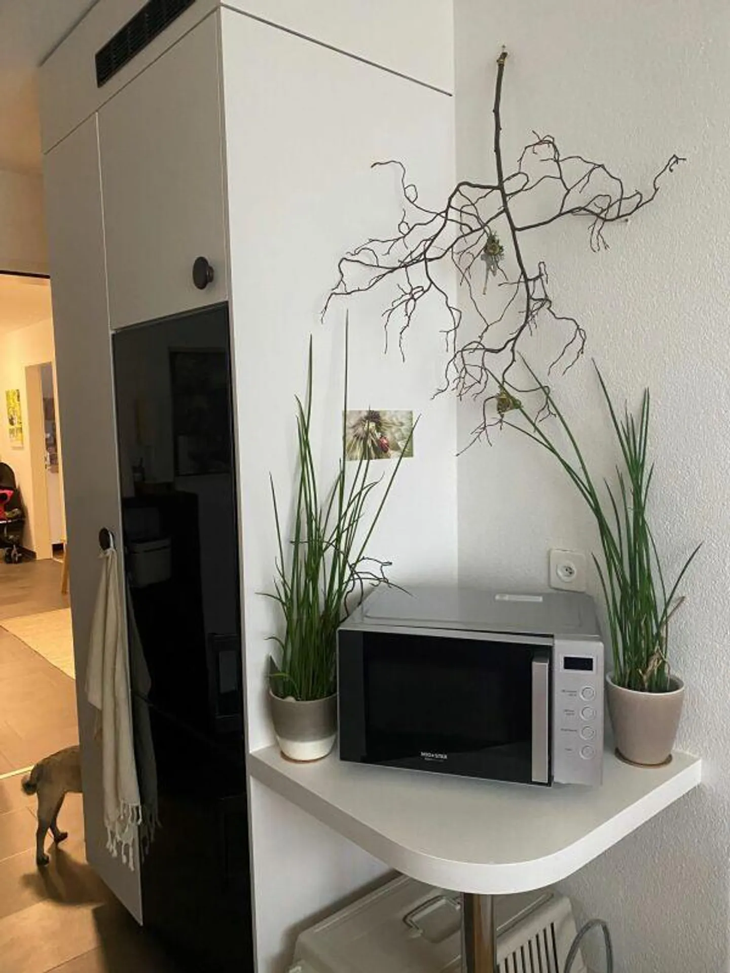 La plus belle vue sur le merveilleux lac de Constance - Votre nouvel appartement lumineux et pratique avec balcon, dans le meilleur emplacement et un terrain de jeux - Photo 7 sur 13
