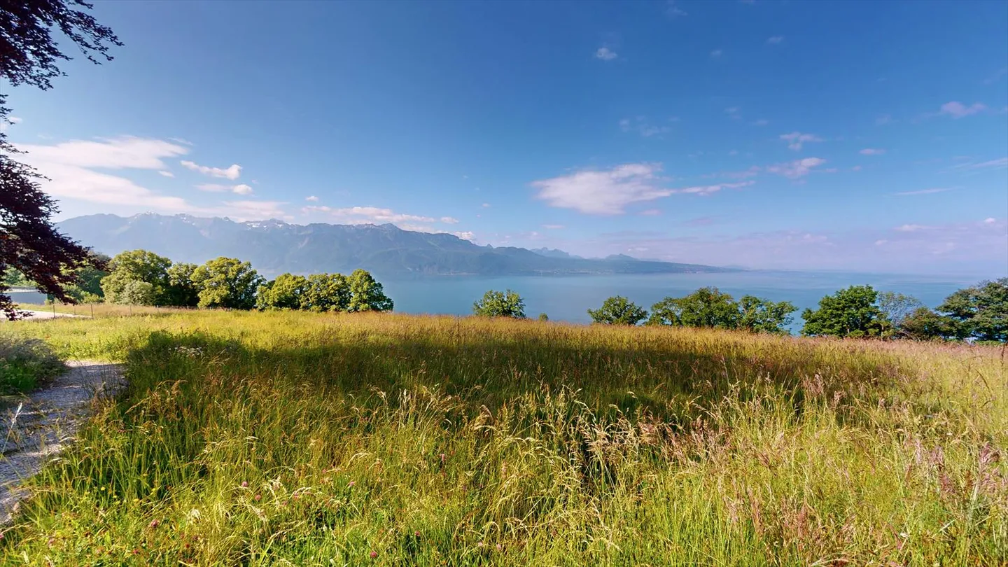 Appartamento nel Cuore di Lavaux con Vista Panoramica sul Lago - Foto 28 di 29