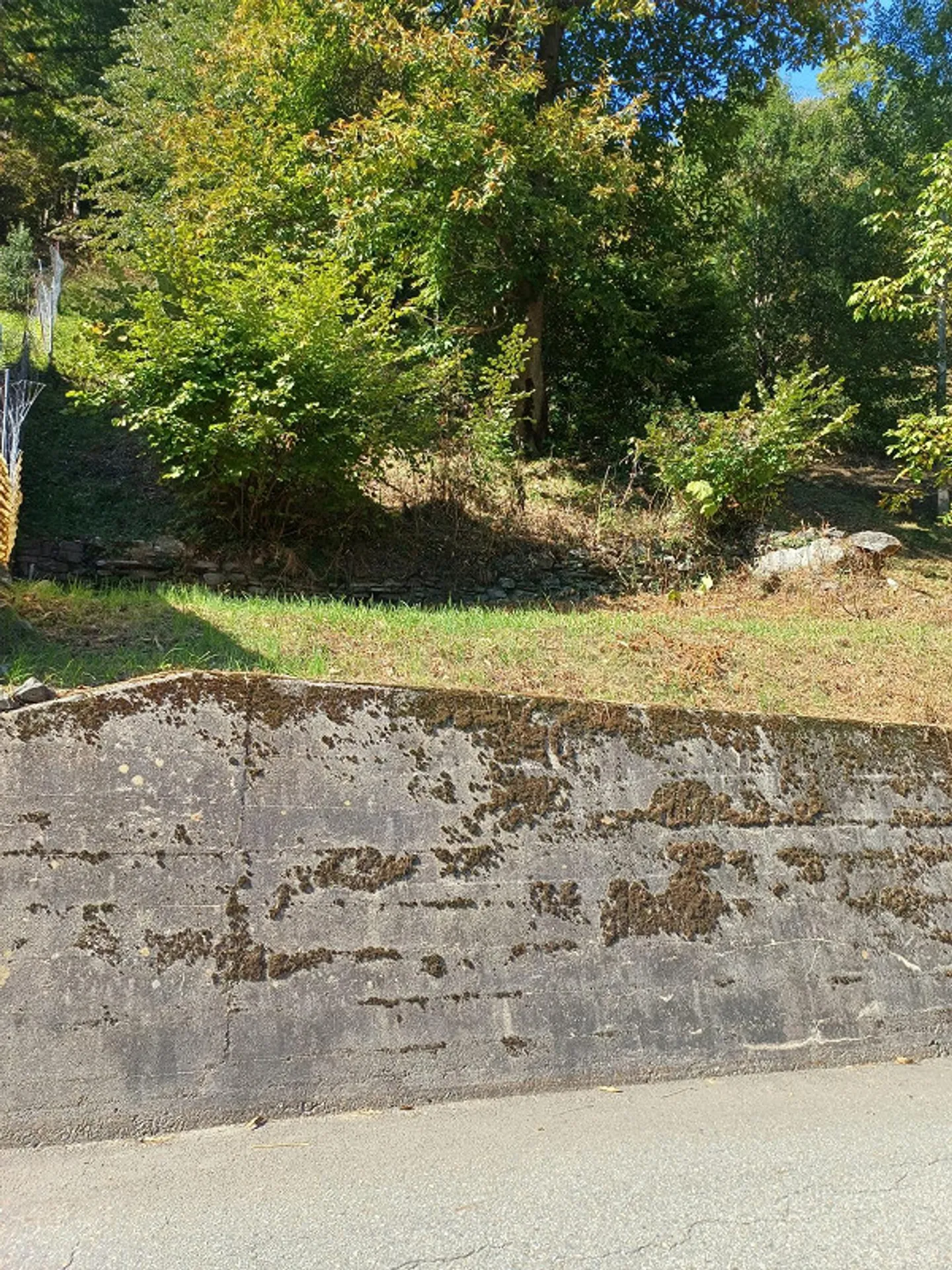 Baugrundstück in Soazza - ID 24046 - Foto 4 von 4