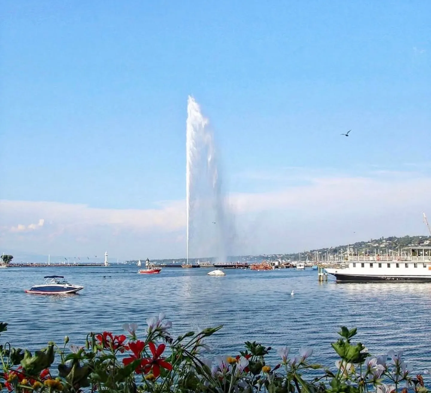 ESCLUSIVO - Eccezionale proprietà del XVIII secolo, terreno di 3.136 m² e piscina interna - Foto 1 di 1