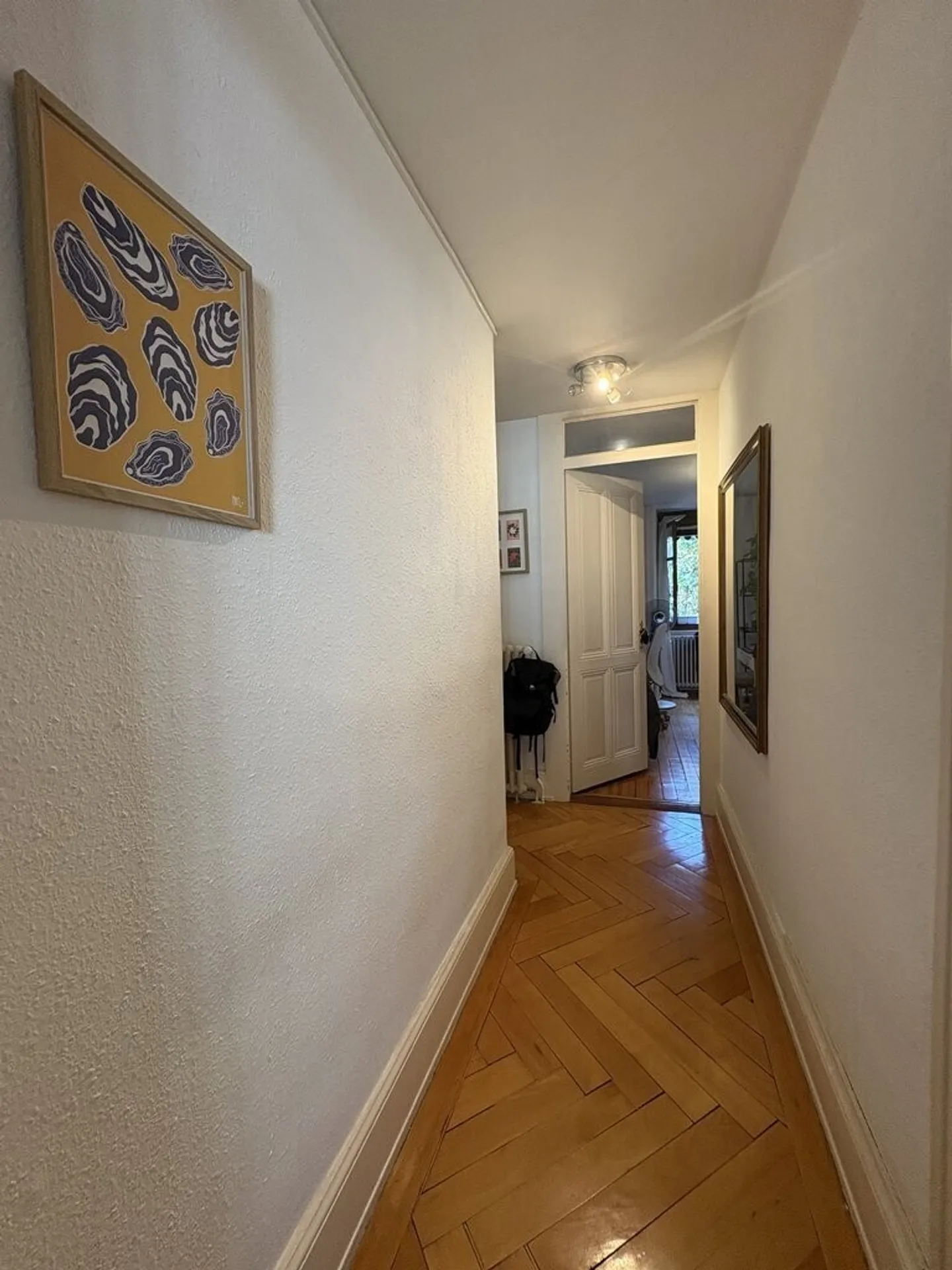 Magnificent accommodation in the heart of Geneva! - Photo 2 of 4