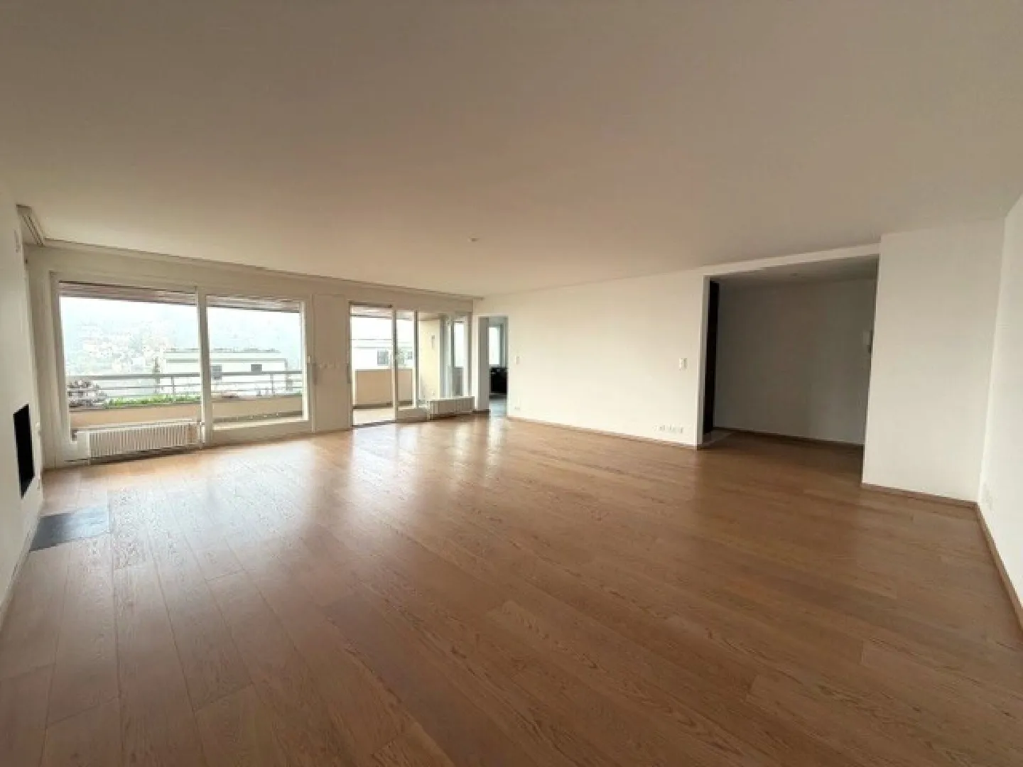 Elegant 4.5 rooms with terrace and exceptional lake view - Photo 3 of 17