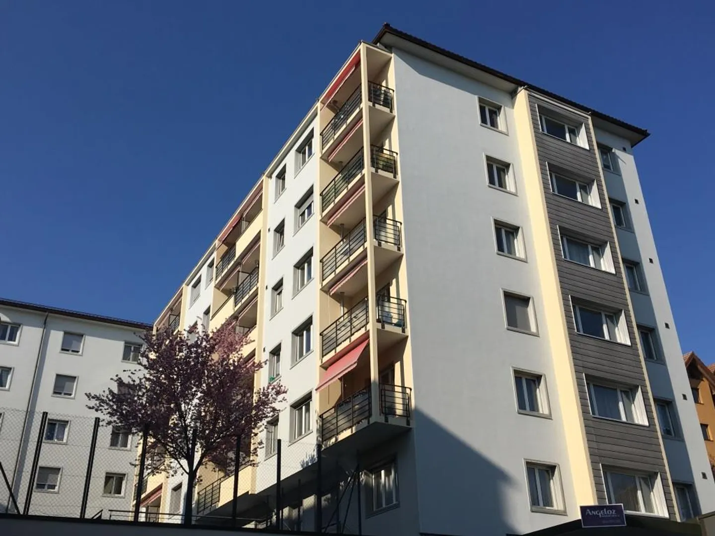 Komfortables Apartment in Fribourg - Foto 1 von 8