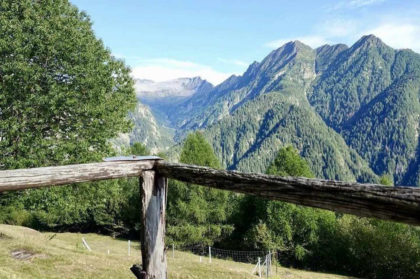 Rustique de montagne idyllique de 3 1/2 pièces avec environnement et vue panoramique - Photo 22 sur 38