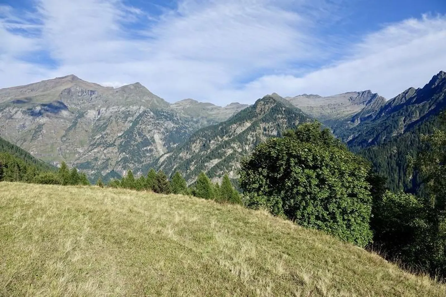 Rustique de montagne idyllique de 3 1/2 pièces avec environnement et vue panoramique - Photo 32 sur 38