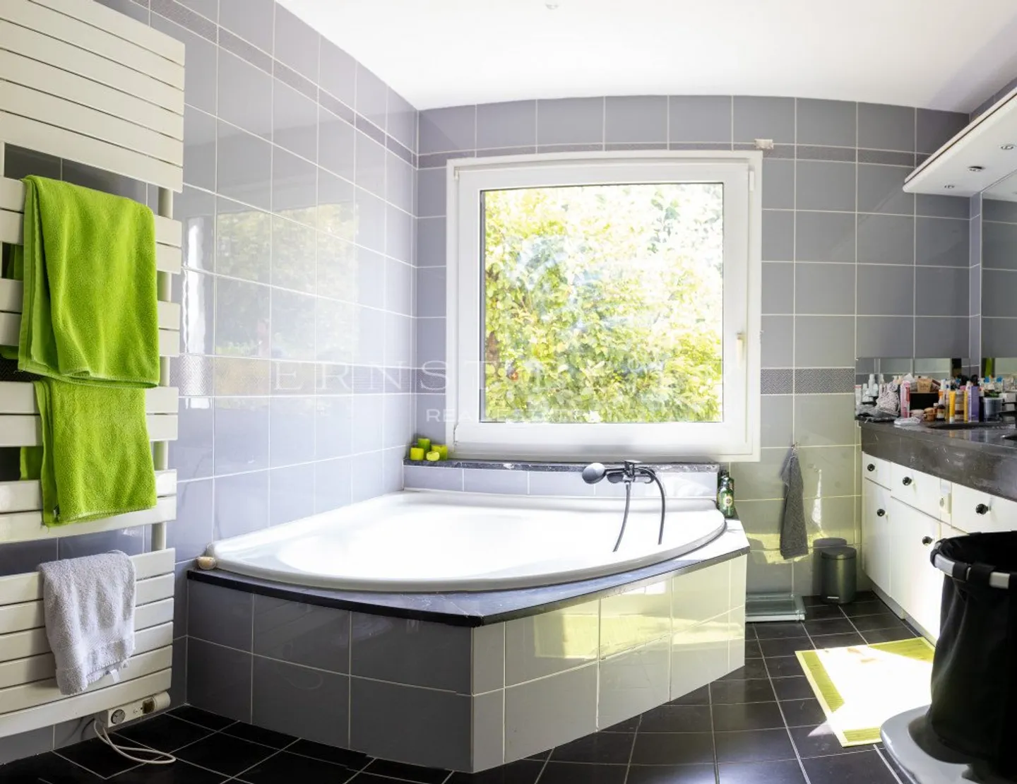 Casa familiare a Ornex - alle porte di Grand-Saconnex e Ginevra - Foto 4 di 12