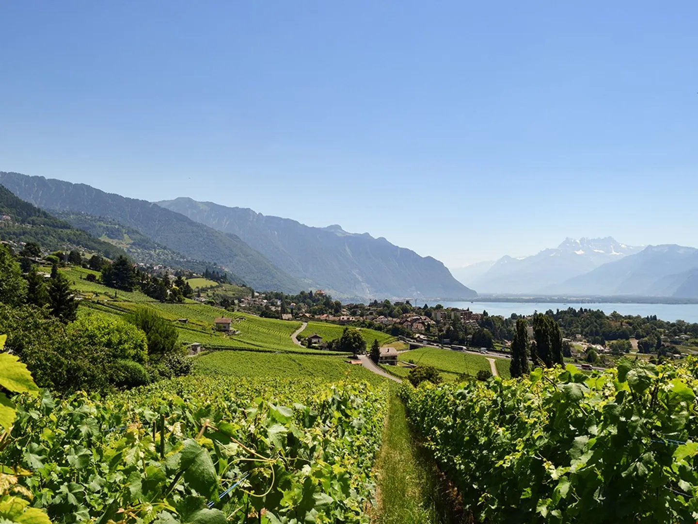 BLONAY - CHARMIERENDES EIGENTUM - 13.0 ZIMMER - Foto 3 von 3