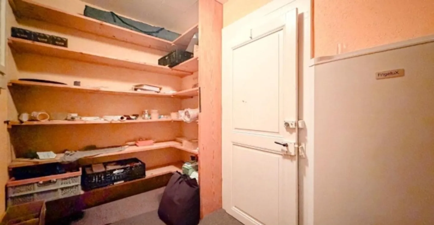 Gewerbefläche in Saxon - Foto 1 von 8