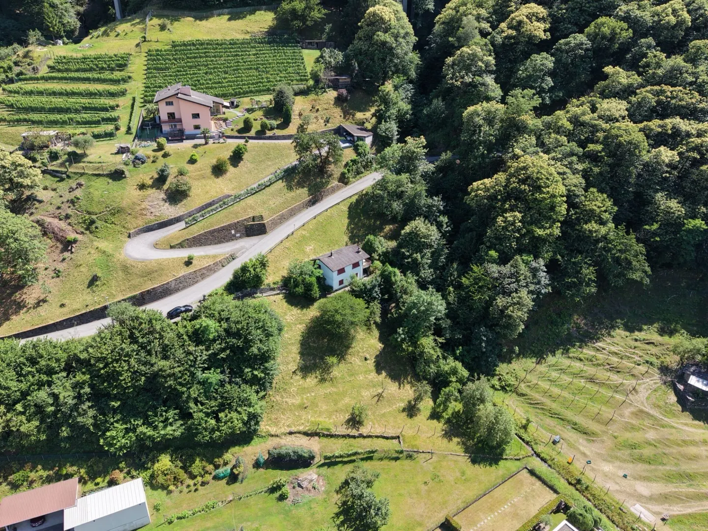 Rêve de maison tessinoise dans le vert - Photo 15 sur 15