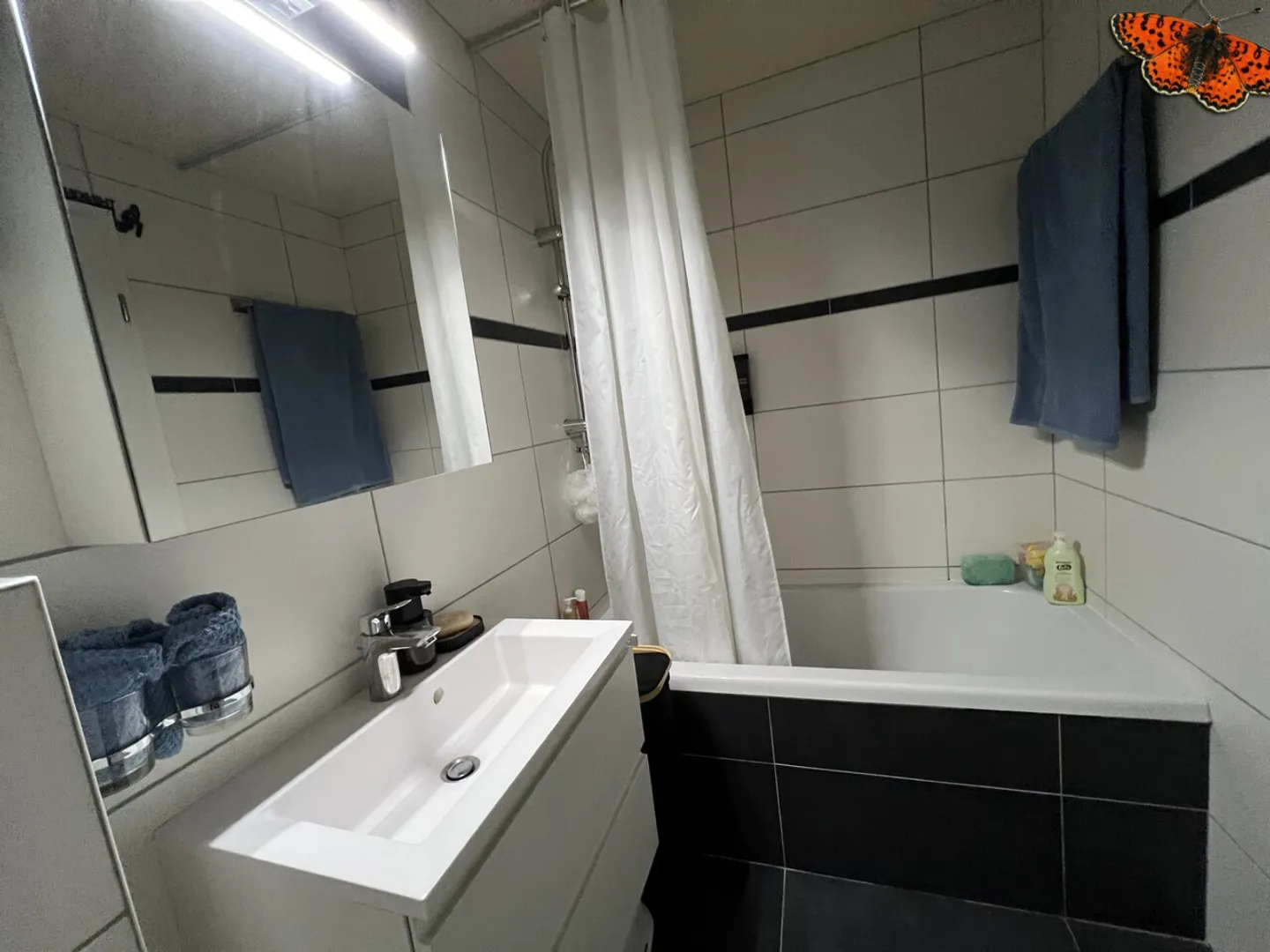 AFFASCINANTE DUPLEX DI 3 ½ LOCALI - ALBEUVE - Foto 4 di 7