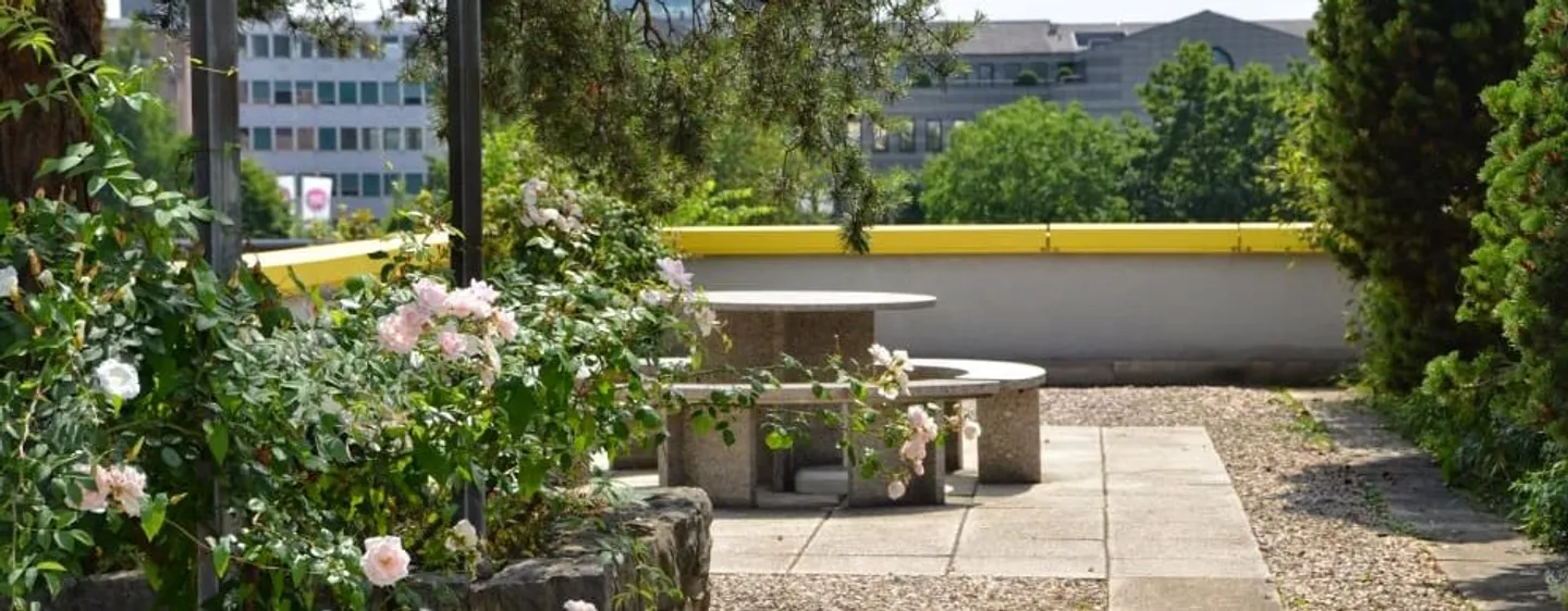 Ufficio / Stanze di pratica - Foto 16 di 16