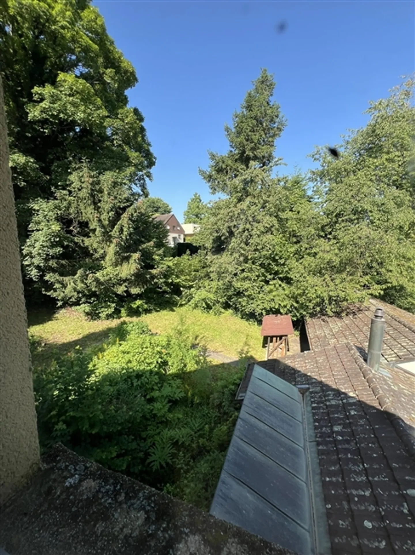 Large Plot in Laufen - Photo 4 of 4