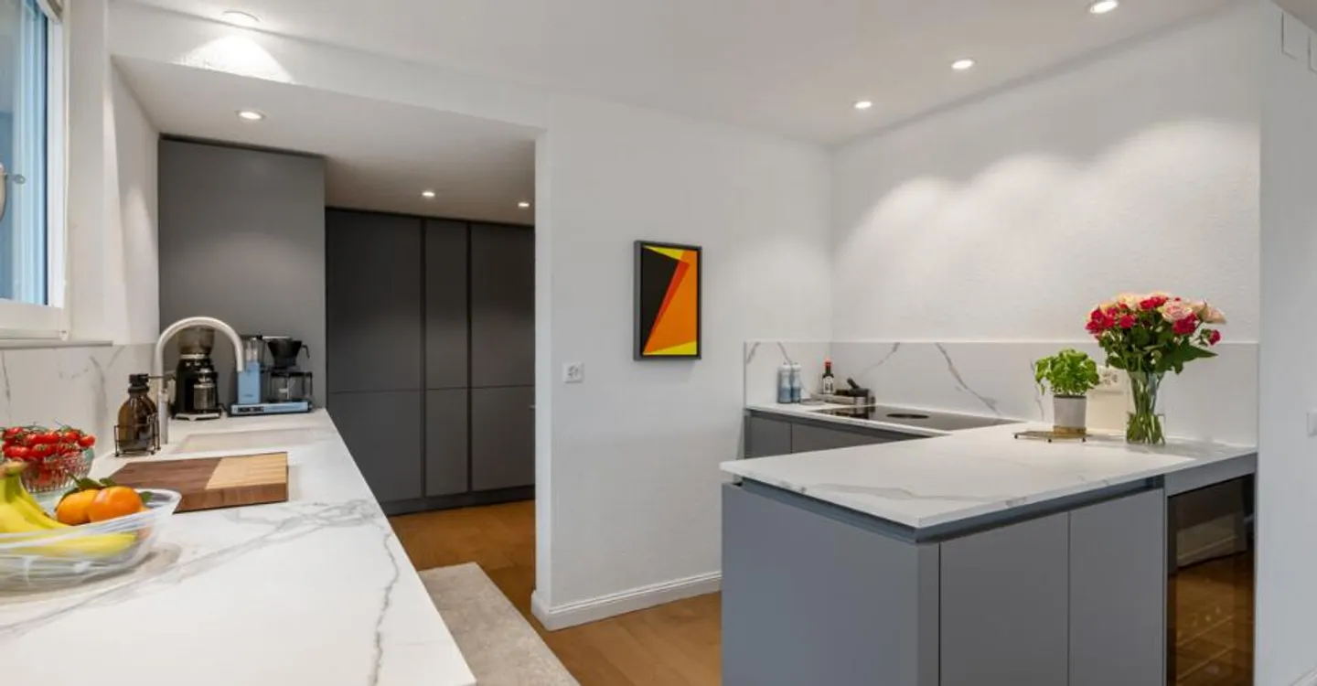 Horgen: Appartamento con terrazza, studio e sauna - Foto 3 di 5