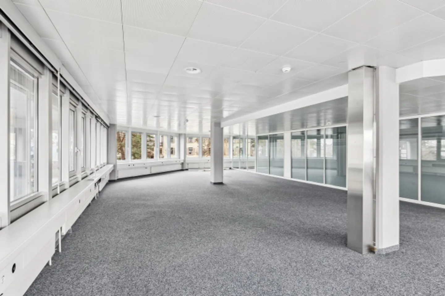 Area pronta per essere abitata con 500 m² - 1'350 m² - Foto 5 di 12