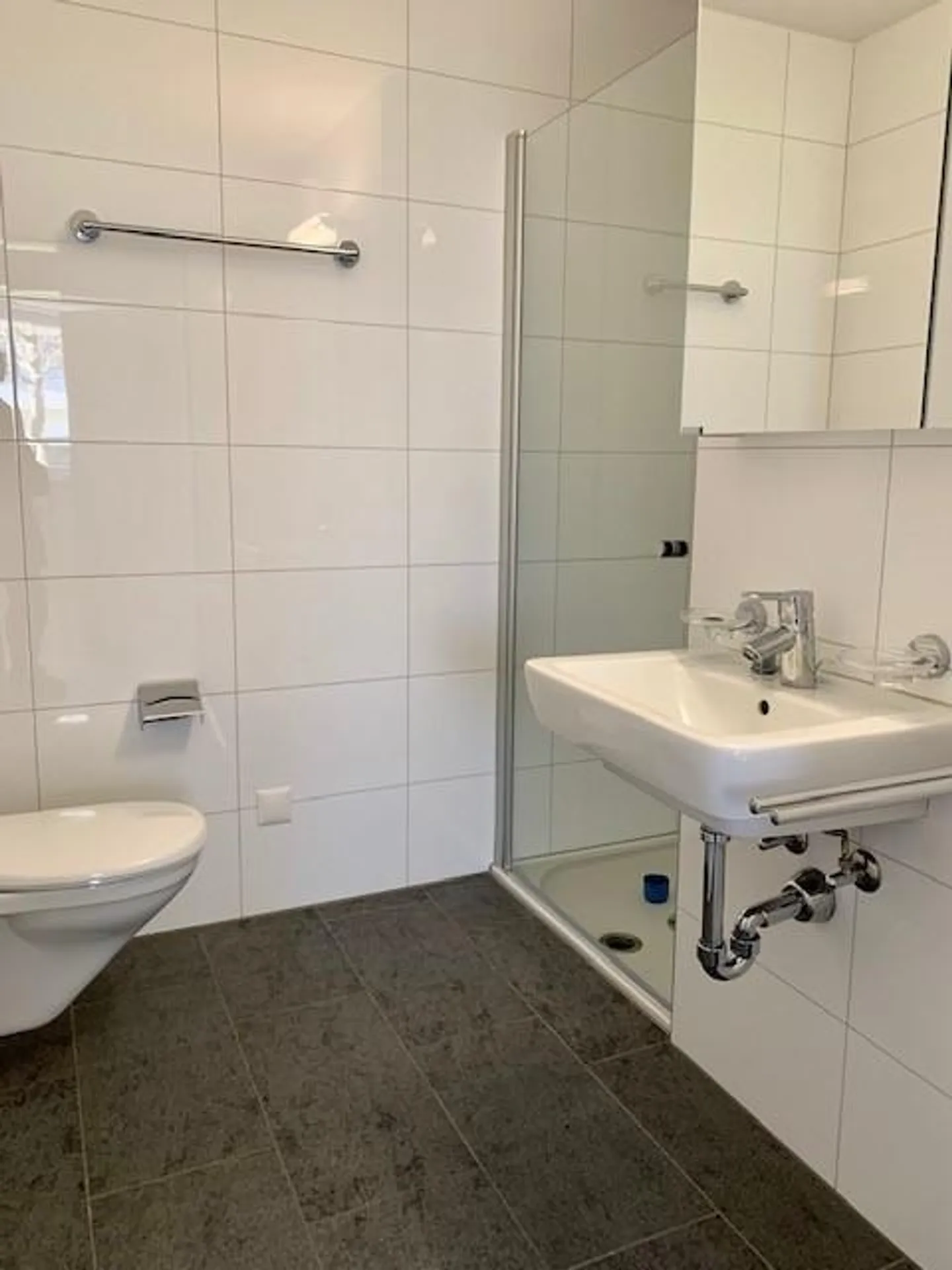2.5 Room Apartment in Sursee - Photo 3 of 7