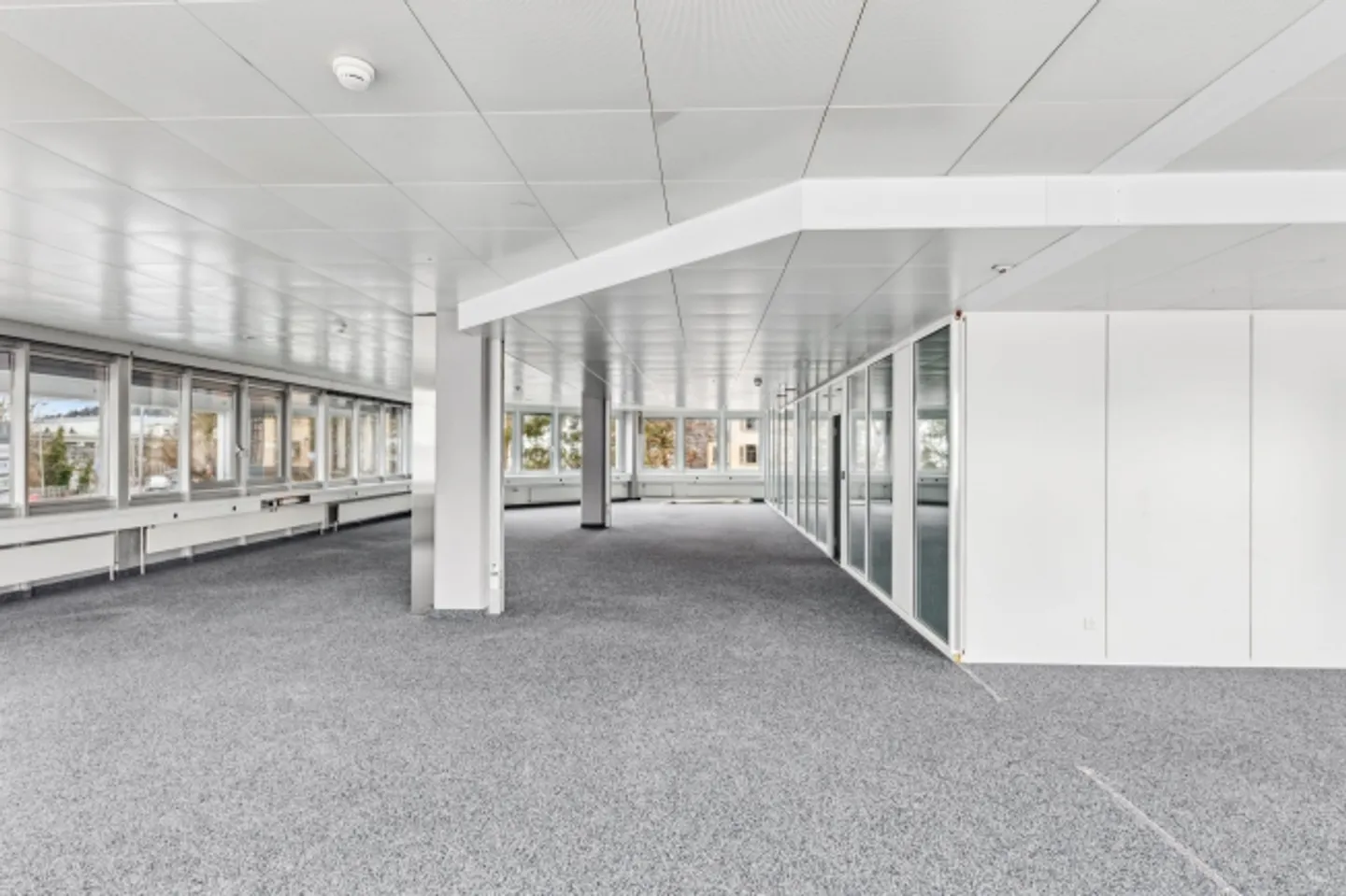 Area pronta per essere abitata con 500 m² - 1'350 m² - Foto 6 di 12