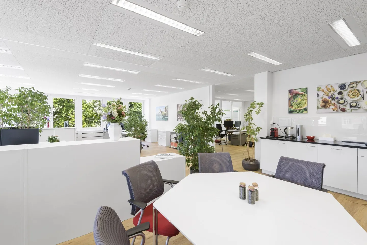 Friesenberg 75 - Un travail panoramique pour plus de succès - Photo 9 sur 18