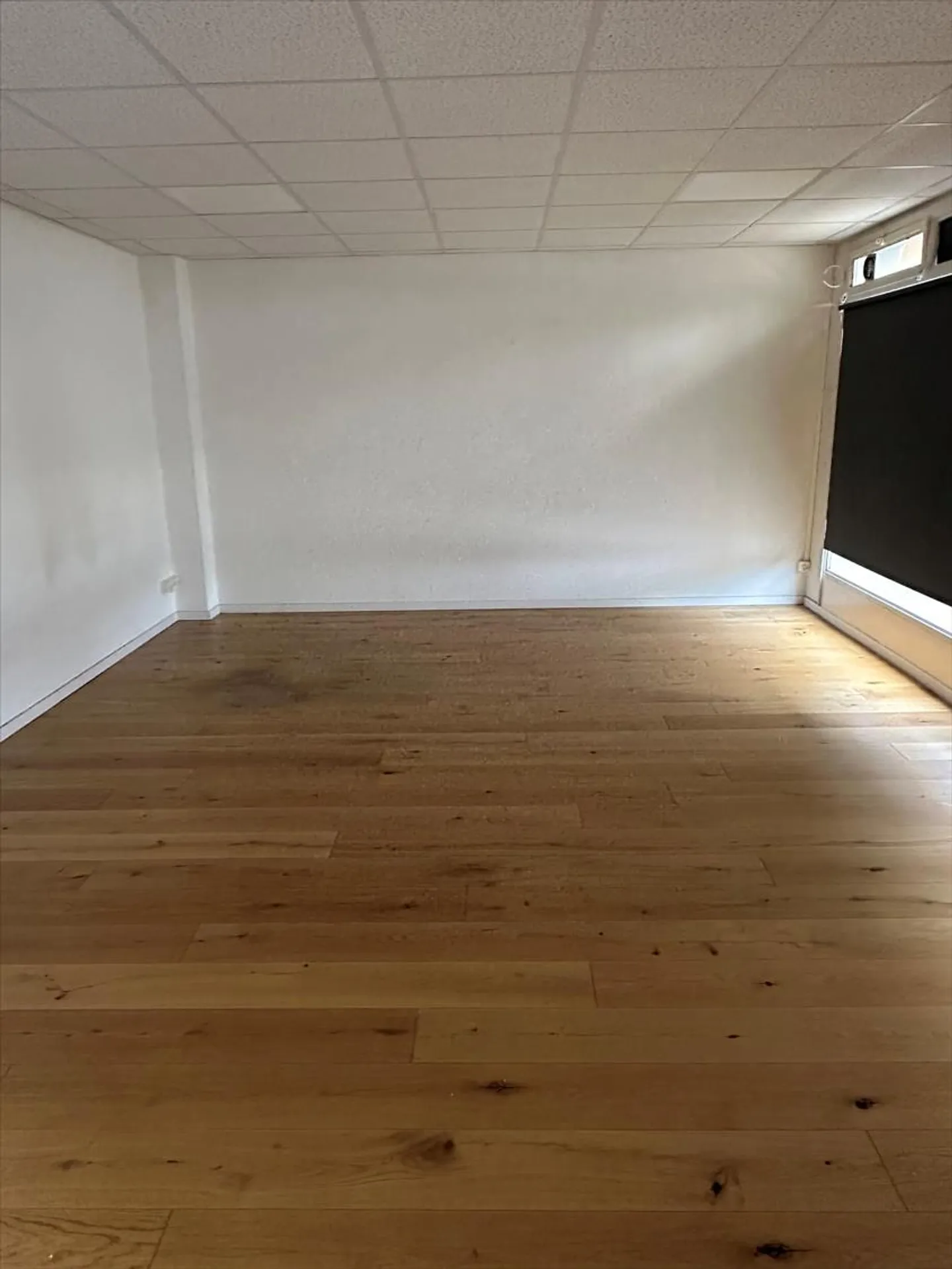 Bel espace de stockage de 146 m2 - Photo 3 sur 4