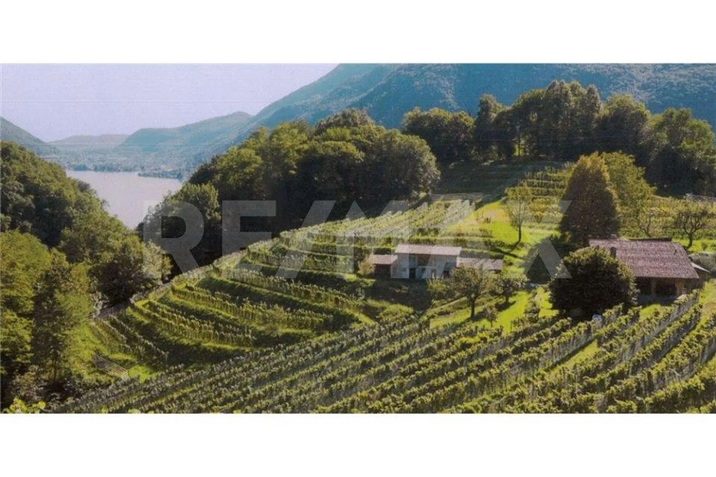 Casa storica con progetto per la costruzione di più appartamenti - Foto 5 di 13