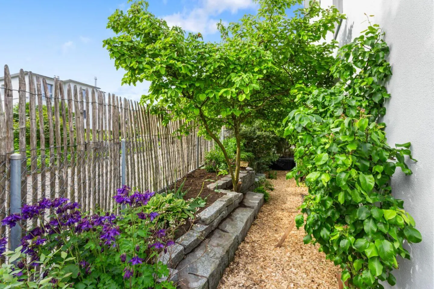 Casa angolare molto grande di 7,5 stanze con ufficio aggiuntivo e grande giardino - Foto 4 di 12