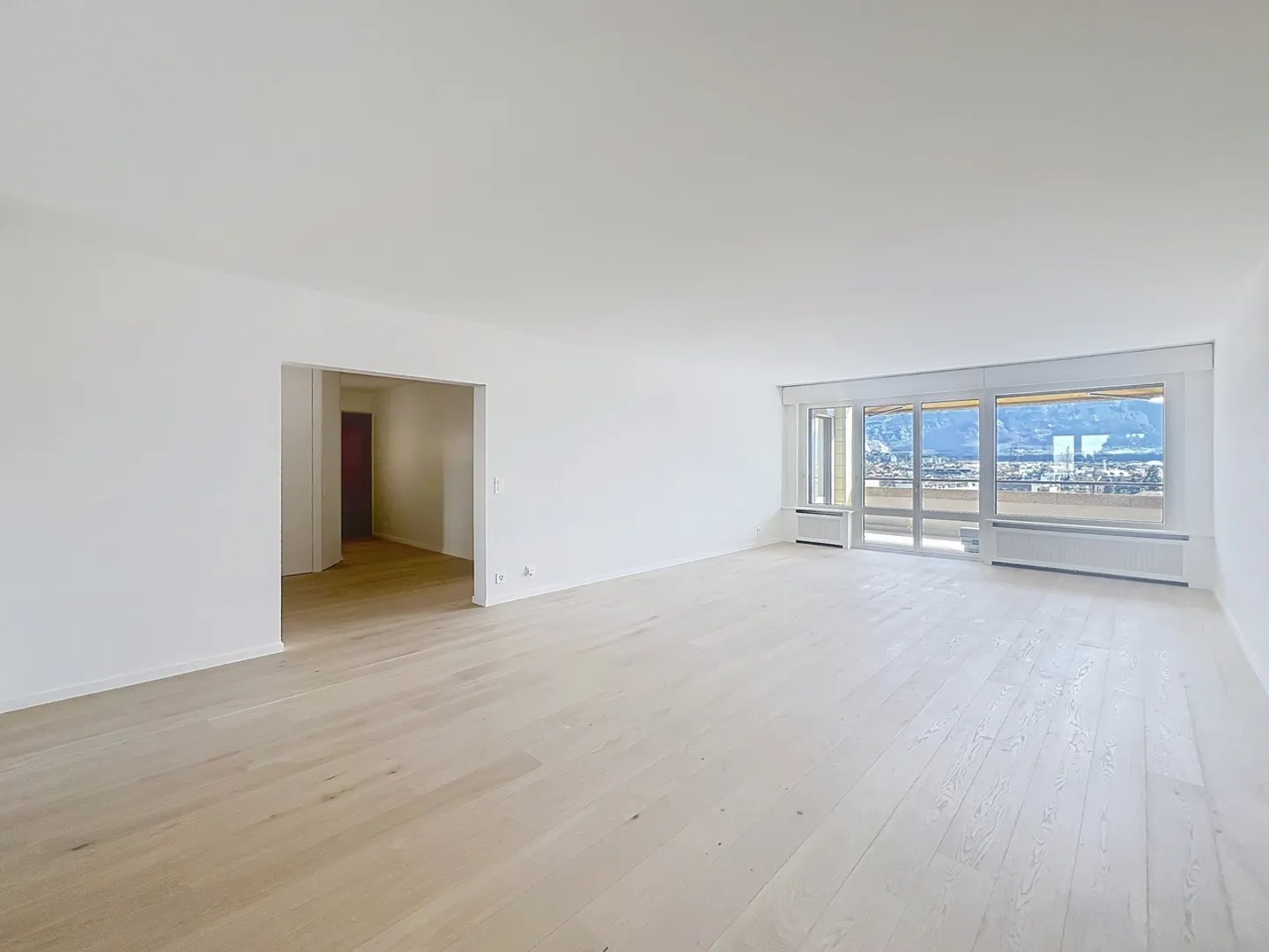 Appartement extraordinaire au Quai du Seujet entièrement rénové - Photo 6 sur 19