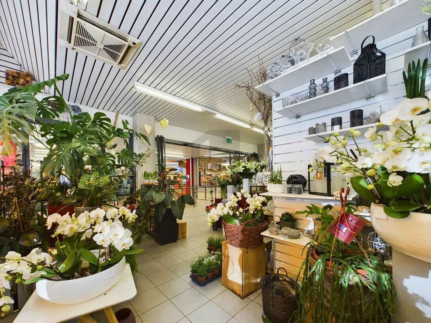 CLIENTÈLE FIDÉLISÉE ET EXCELLENTE OPPORTUNITÉ - Photo 3 sur 5