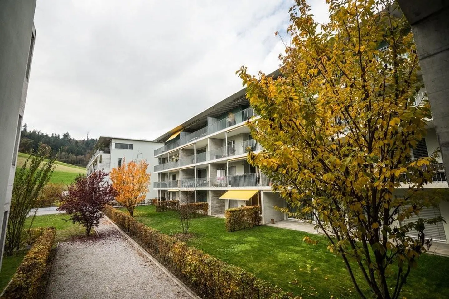 Bell'appartamento con vista sul verde - Foto 1 di 10