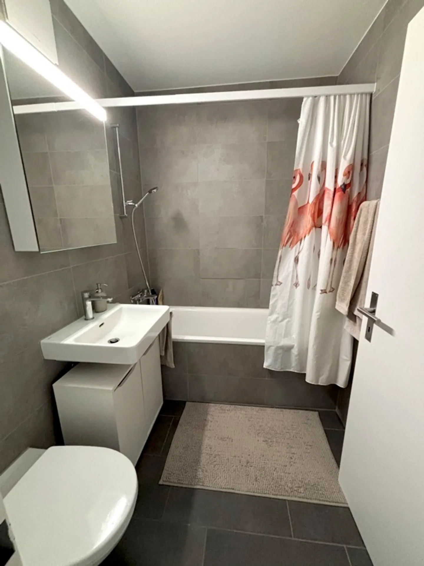 Appartement meublé à Bâle - Photo 7 sur 8